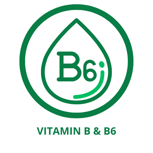 Vitamin b6